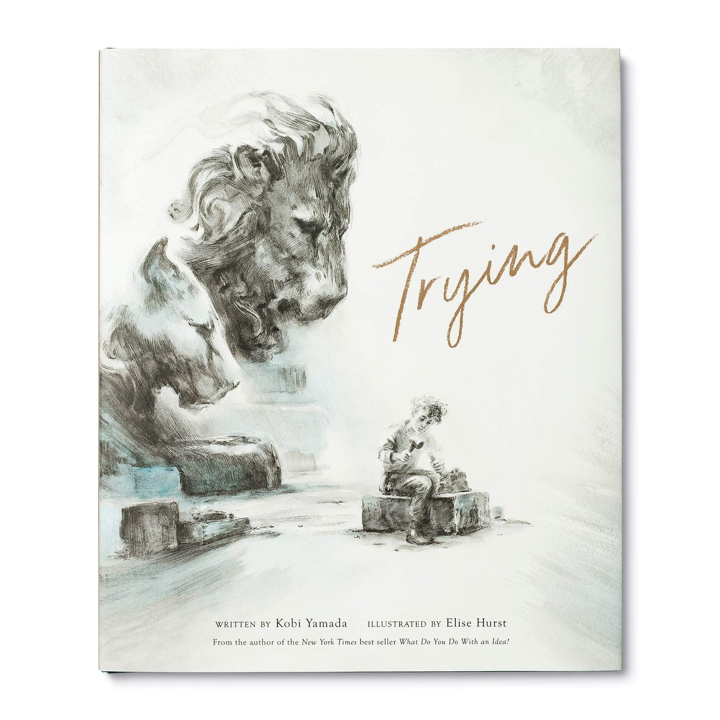 Trying (Hardcover)