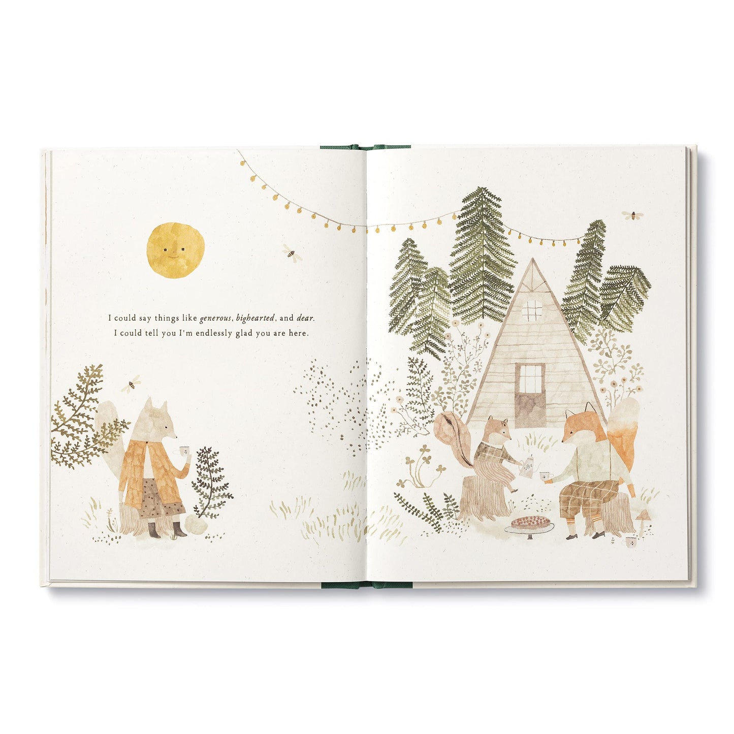 More Than A Little (Hardcover)