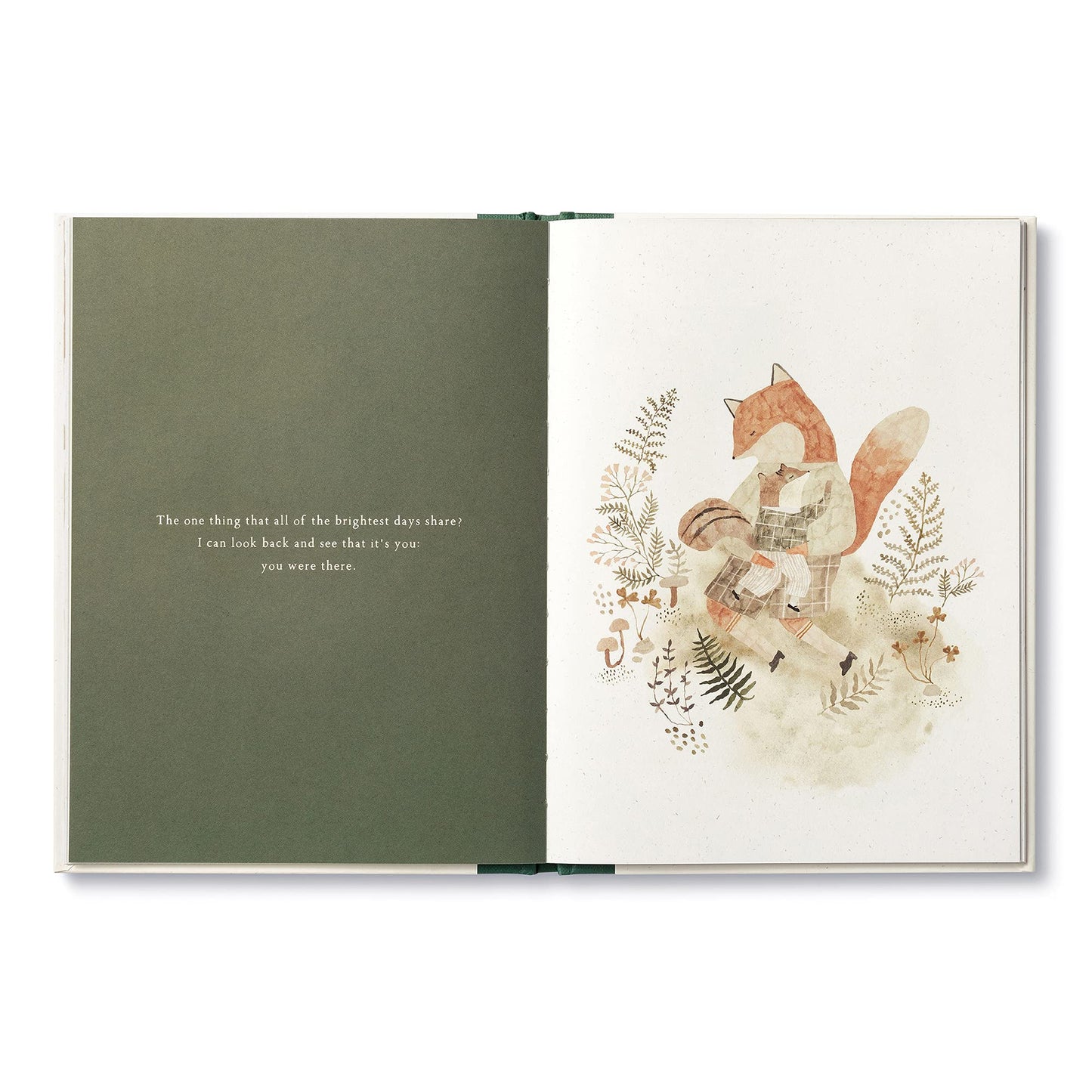 More Than A Little (Hardcover)