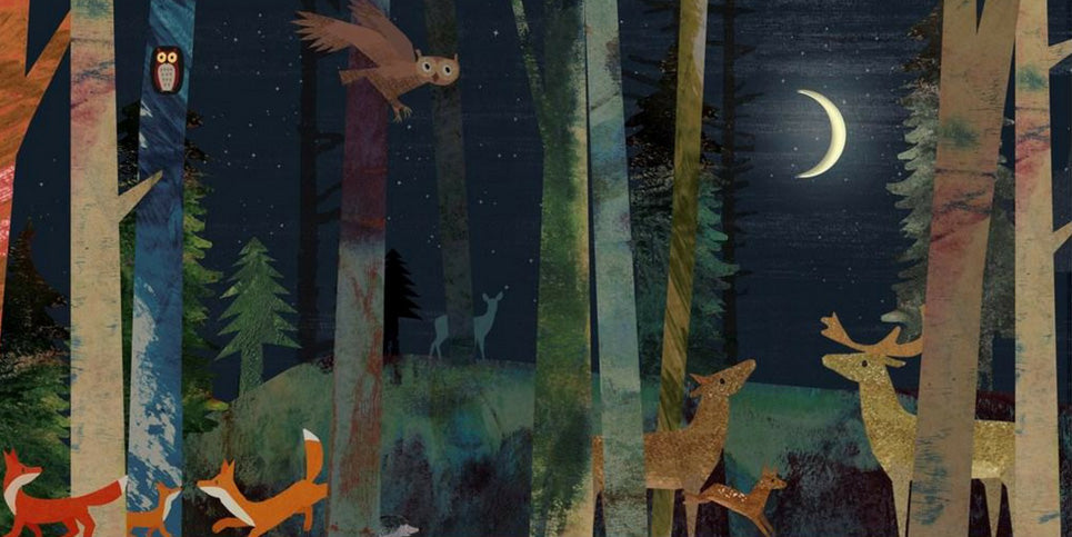Moon: A Peek-Through Picture Book (Hardcover)