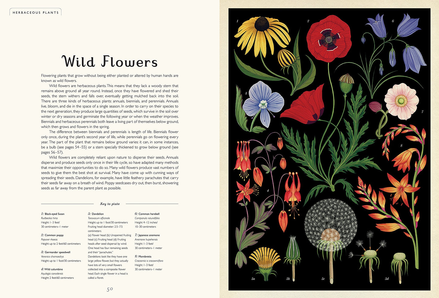 Botanicum: Welcome to the Museum (Hardcover)