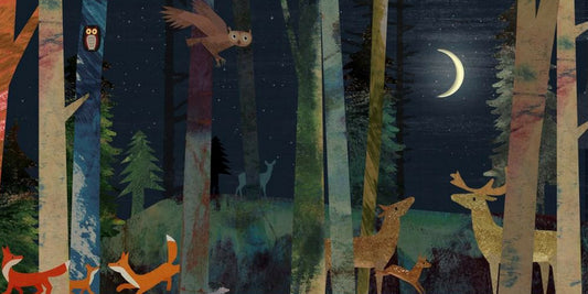 Moon: A Peek-Through Picture Book (Hardcover)