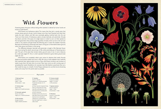 Botanicum: Welcome to the Museum (Hardcover)
