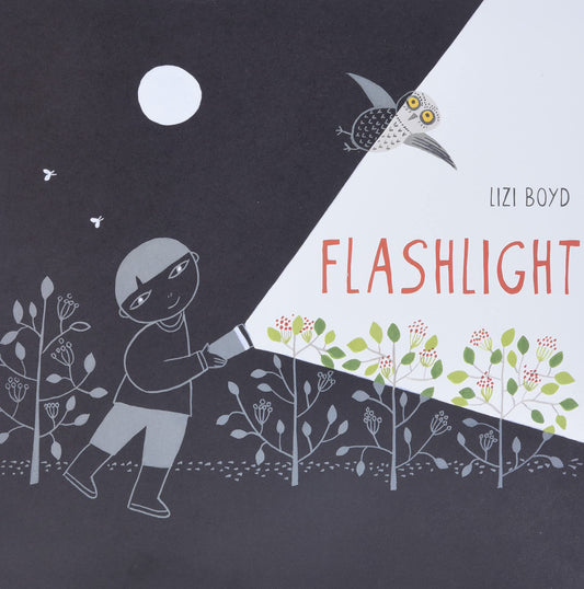 Flashlight (Hardcover)